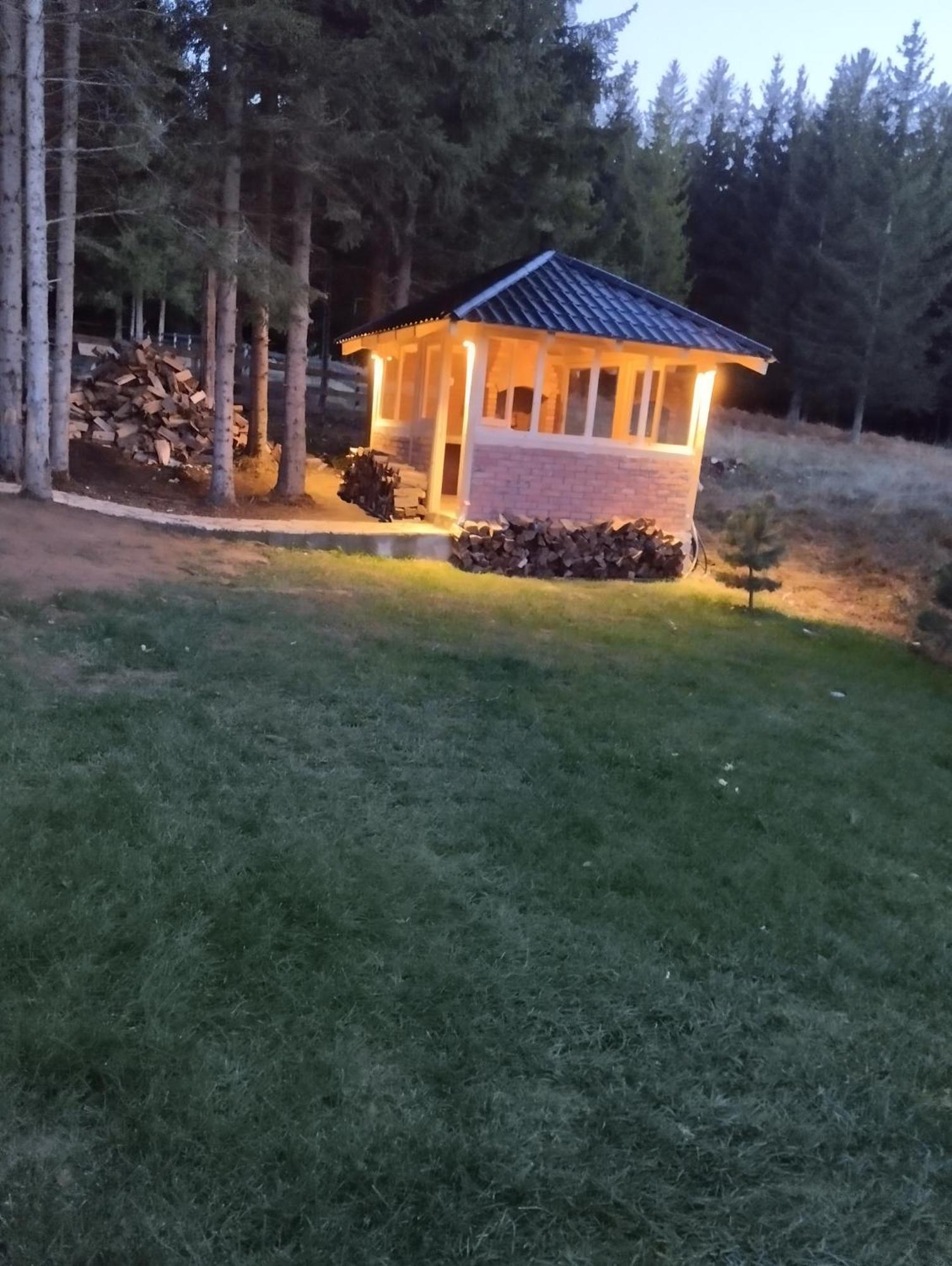 Mila House Tara Villa Bajina Basta Exterior photo